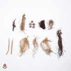  Collection De 15 Plantes Vivaces - 2 M²