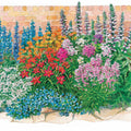  Le Massif été Fleuri - 18 Plantes Vivaces - Superficie Environ 2 M²