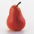  Poirier William's Rouge