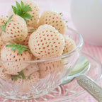  Collection De 4 Fraisiers Originaux