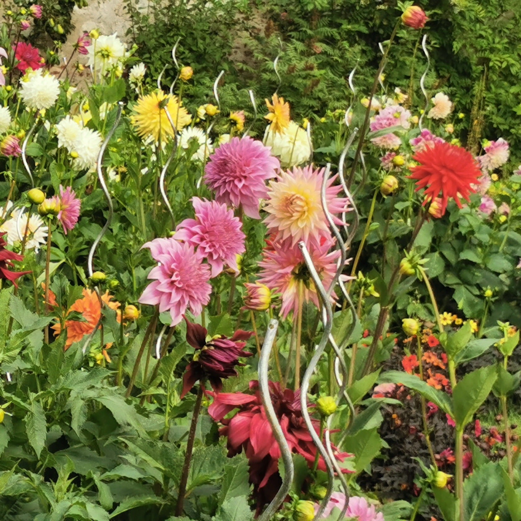  Massif D'été Fleuri En Mélange - 1,5 M²