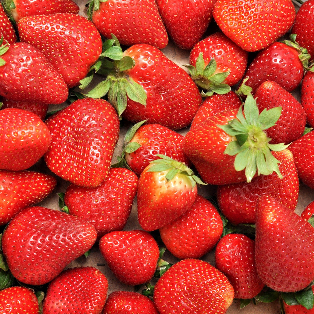 Fraisier Charlotte