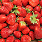  Fraisier Charlotte