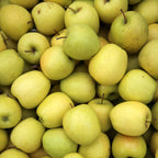  Pommier Golden Delicious