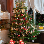  Sapin De Noël Naturel Nordmann 125/ 150 Cm Livré Avec Sa Bûche